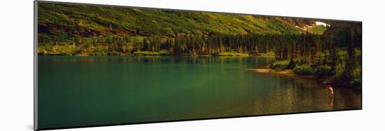 Man Fly Fishing on the Bullhead Lake, Swiftcurrent Valley, Us Glacier National Park, Montana, USA-null-Mounted Photographic Print