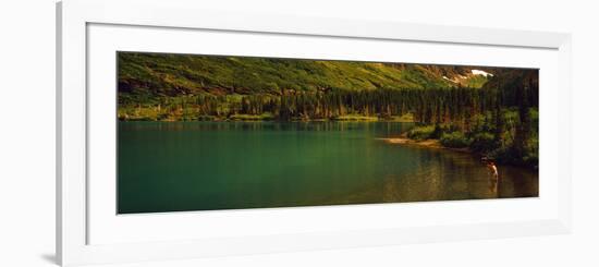 Man Fly Fishing on the Bullhead Lake, Swiftcurrent Valley, Us Glacier National Park, Montana, USA-null-Framed Photographic Print