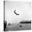 Man Flying Off a Trampoline at Santa Monica Beach-Loomis Dean-Stretched Canvas