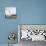 Man Flying Off a Trampoline at Santa Monica Beach-Loomis Dean-Photographic Print displayed on a wall