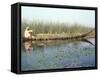 Man Gathering Reeds, Mashuf Boat, Marshes, Iraq, Middle East-null-Framed Stretched Canvas