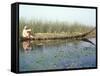 Man Gathering Reeds, Mashuf Boat, Marshes, Iraq, Middle East-null-Framed Stretched Canvas