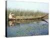 Man Gathering Reeds, Mashuf Boat, Marshes, Iraq, Middle East-null-Stretched Canvas