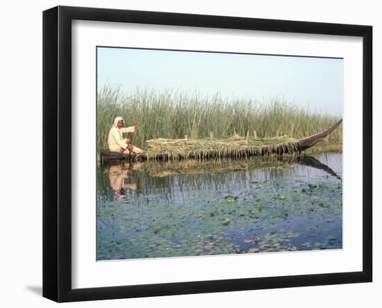 Man Gathering Reeds, Mashuf Boat, Marshes, Iraq, Middle East-null-Framed Photographic Print