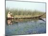 Man Gathering Reeds, Mashuf Boat, Marshes, Iraq, Middle East-null-Mounted Photographic Print