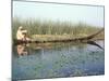 Man Gathering Reeds, Mashuf Boat, Marshes, Iraq, Middle East-null-Mounted Photographic Print