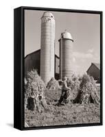 Man Gathering Shucks of Corn-Philip Gendreau-Framed Stretched Canvas