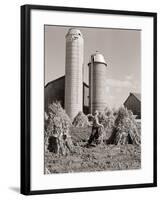 Man Gathering Shucks of Corn-Philip Gendreau-Framed Photographic Print