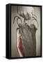 Man, Hand, Farm Bacon-Rainer Mirau-Framed Stretched Canvas