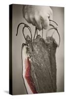 Man, Hand, Farm Bacon-Rainer Mirau-Stretched Canvas