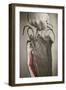 Man, Hand, Farm Bacon-Rainer Mirau-Framed Photographic Print