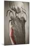 Man, Hand, Farm Bacon-Rainer Mirau-Mounted Photographic Print