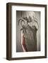 Man, Hand, Farm Bacon-Rainer Mirau-Framed Photographic Print