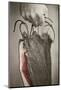 Man, Hand, Farm Bacon-Rainer Mirau-Mounted Photographic Print