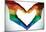 Man Hands Painted As The Rainbow Flag Forming A Heart, Symbolizing Gay Love-null-Mounted Poster
