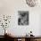 Man Hanging the American Flag Out of the Osteopath's Office Window During WWII-George Strock-Photographic Print displayed on a wall