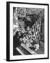 Man Hanging the American Flag Out of the Osteopath's Office Window During WWII-George Strock-Framed Photographic Print