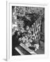 Man Hanging the American Flag Out of the Osteopath's Office Window During WWII-George Strock-Framed Photographic Print