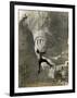 Man Hangs Onto Eye at Mount Rushmore-null-Framed Photographic Print