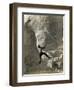 Man Hangs Onto Eye at Mount Rushmore-null-Framed Photographic Print