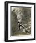 Man Hangs Onto Eye at Mount Rushmore-null-Framed Photographic Print