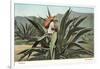 Man Harvesting Maguey Juice for Tequila, Mexico-null-Framed Art Print