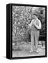 Man Harvesting Oranges from His Tree-null-Framed Stretched Canvas