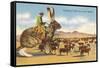 Man Herding Cattle from Giant Jack Rabbit-null-Framed Stretched Canvas