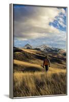 Man Hikes While Upland Bird Hunting In Montana-Hannah Dewey-Framed Photographic Print