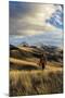 Man Hikes While Upland Bird Hunting In Montana-Hannah Dewey-Mounted Photographic Print