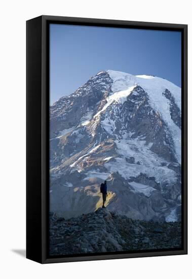 Man Hiking in Mt. Rainier National Park, Washington-Justin Bailie-Framed Stretched Canvas