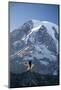 Man Hiking in Mt. Rainier National Park, Washington-Justin Bailie-Mounted Photographic Print