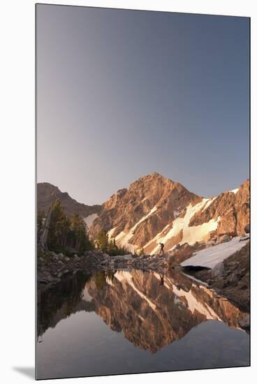 Man Hiking In Upper Paintbrush Canyon In Grand Teton National Park, Wyoming-Austin Cronnelly-Mounted Premium Photographic Print