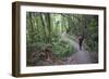 Man Hiking on Waiomu Kauri Grove Trail-Ian-Framed Photographic Print