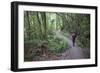 Man Hiking on Waiomu Kauri Grove Trail-Ian-Framed Photographic Print