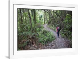 Man Hiking on Waiomu Kauri Grove Trail-Ian-Framed Photographic Print