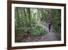 Man Hiking on Waiomu Kauri Grove Trail-Ian-Framed Photographic Print