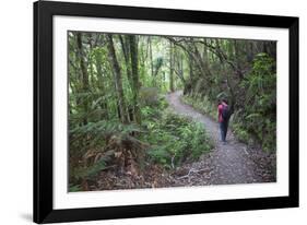 Man Hiking on Waiomu Kauri Grove Trail-Ian-Framed Photographic Print