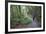 Man Hiking on Waiomu Kauri Grove Trail-Ian-Framed Photographic Print