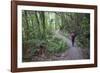 Man Hiking on Waiomu Kauri Grove Trail-Ian-Framed Photographic Print