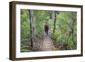 Man Hiking on Waiomu Kauri Grove Trail-Ian-Framed Photographic Print