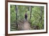 Man Hiking on Waiomu Kauri Grove Trail-Ian-Framed Photographic Print