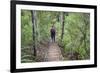 Man Hiking on Waiomu Kauri Grove Trail-Ian-Framed Photographic Print