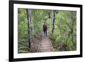 Man Hiking on Waiomu Kauri Grove Trail-Ian-Framed Photographic Print