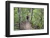 Man Hiking on Waiomu Kauri Grove Trail-Ian-Framed Photographic Print