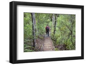 Man Hiking on Waiomu Kauri Grove Trail-Ian-Framed Photographic Print