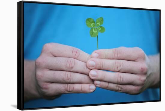 Man Holding Four-Leaf Clover-Joe Petersburger-Framed Stretched Canvas