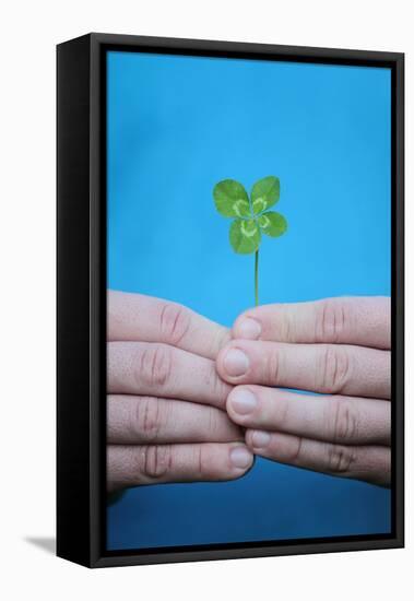 Man Holding Four-Leaf Clover-Joe Petersburger-Framed Stretched Canvas