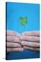 Man Holding Four-Leaf Clover-Joe Petersburger-Stretched Canvas