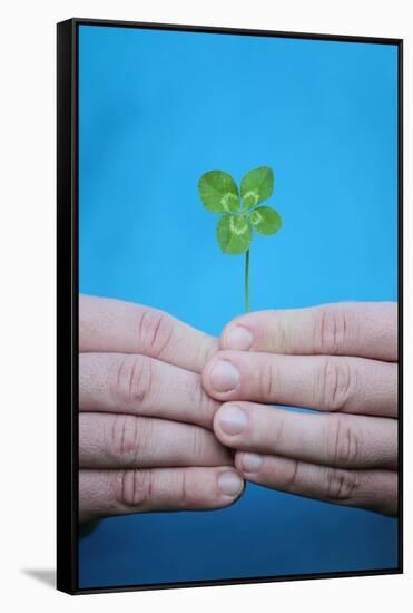 Man Holding Four-Leaf Clover-Joe Petersburger-Framed Stretched Canvas